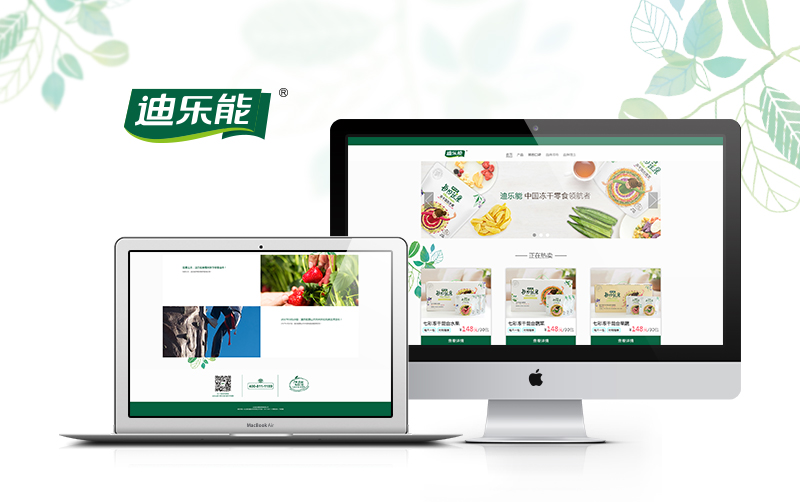 迪樂(lè)能食品
